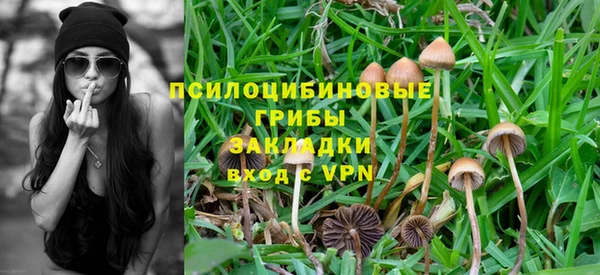 шишки Богородск