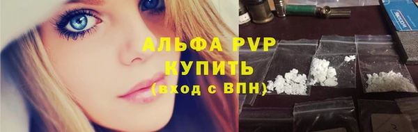 PSILOCYBIN Богородицк