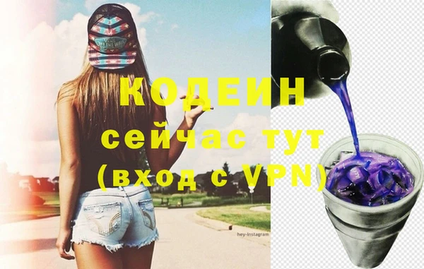 2c-b Бородино