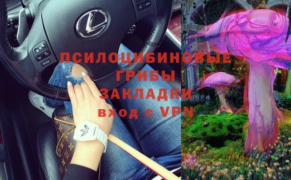 шишки Богородск