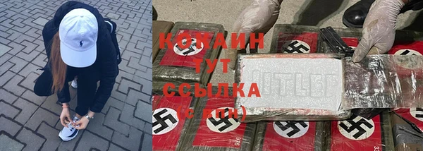 спиды Богданович
