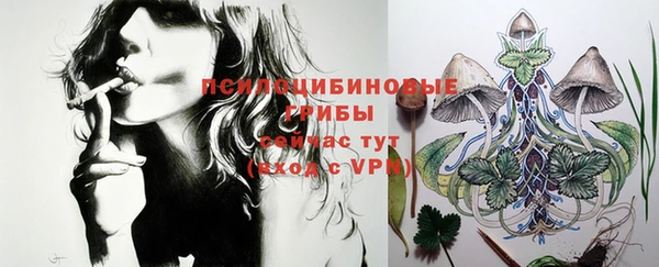 PSILOCYBIN Богородицк