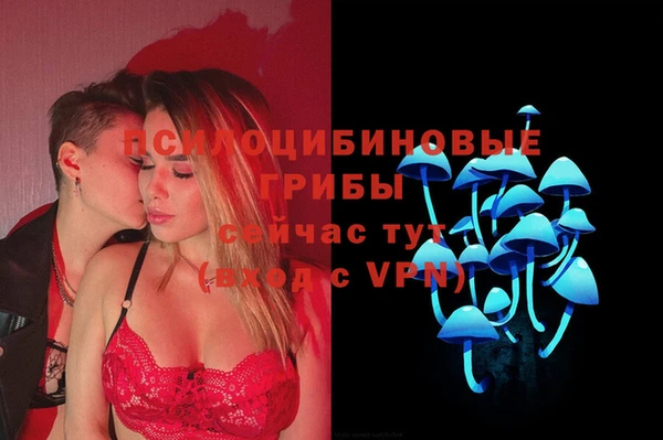 спиды Богданович