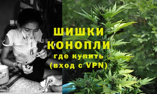 шишки Богородск